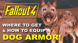 fallout 4 dog armor dmg resist